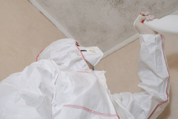 Best Mold Remediation for Specific Building Types in Catawissa, PA